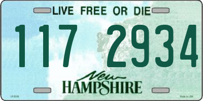 NH license plate 1172934