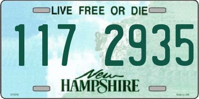 NH license plate 1172935