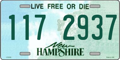 NH license plate 1172937