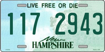NH license plate 1172943
