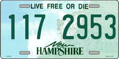 NH license plate 1172953