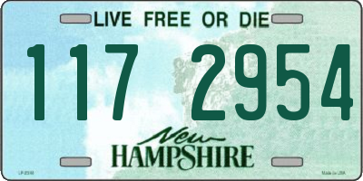 NH license plate 1172954