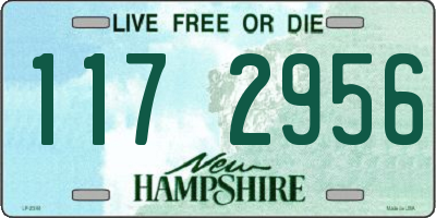 NH license plate 1172956