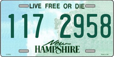 NH license plate 1172958