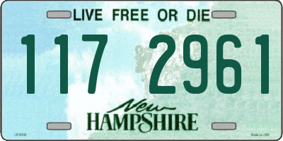 NH license plate 1172961