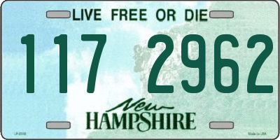 NH license plate 1172962