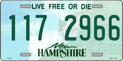 NH license plate 1172966