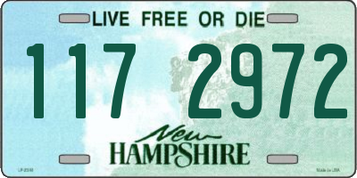 NH license plate 1172972