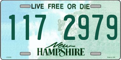 NH license plate 1172979