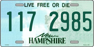 NH license plate 1172985
