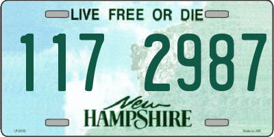 NH license plate 1172987
