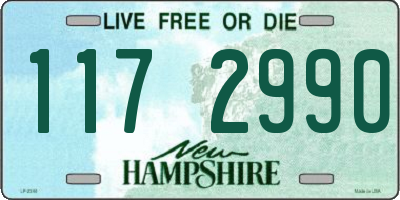 NH license plate 1172990