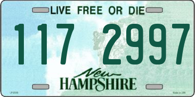 NH license plate 1172997