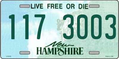 NH license plate 1173003