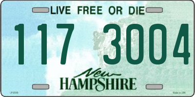 NH license plate 1173004