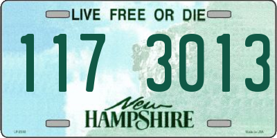NH license plate 1173013