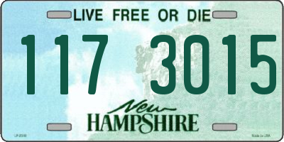 NH license plate 1173015
