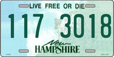 NH license plate 1173018