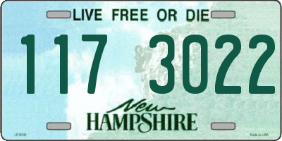 NH license plate 1173022