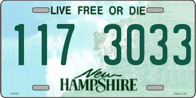 NH license plate 1173033