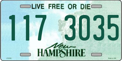 NH license plate 1173035