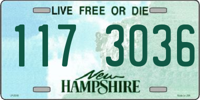 NH license plate 1173036