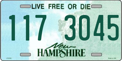 NH license plate 1173045
