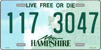 NH license plate 1173047