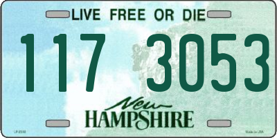 NH license plate 1173053