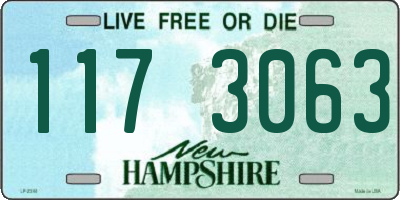 NH license plate 1173063