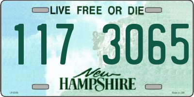 NH license plate 1173065