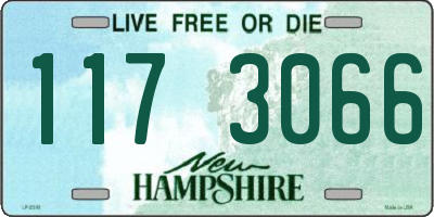 NH license plate 1173066
