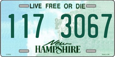 NH license plate 1173067