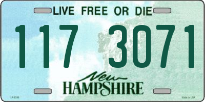 NH license plate 1173071
