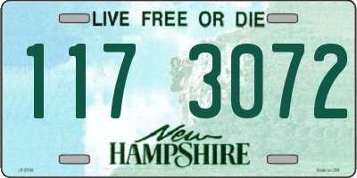 NH license plate 1173072