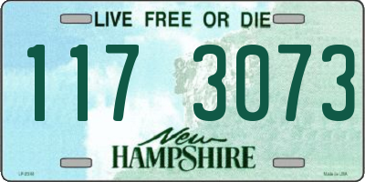 NH license plate 1173073