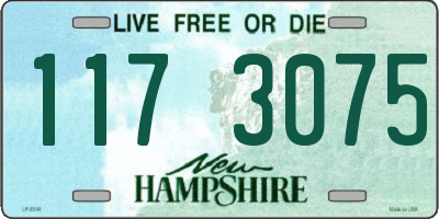 NH license plate 1173075