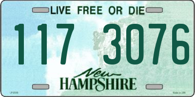 NH license plate 1173076