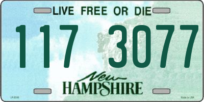 NH license plate 1173077