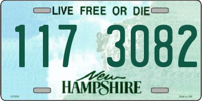 NH license plate 1173082