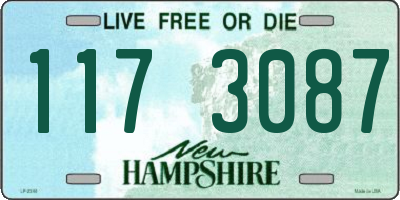 NH license plate 1173087
