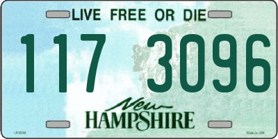 NH license plate 1173096