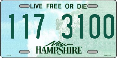 NH license plate 1173100