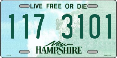 NH license plate 1173101