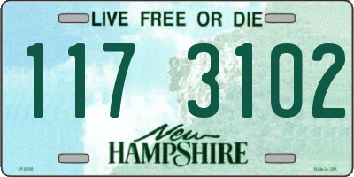 NH license plate 1173102