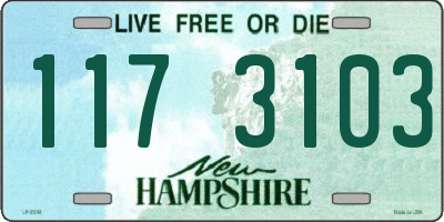 NH license plate 1173103