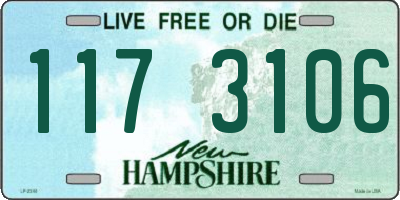 NH license plate 1173106