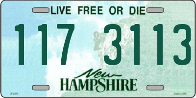 NH license plate 1173113