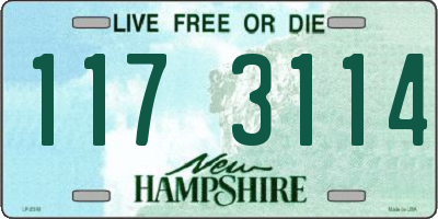 NH license plate 1173114
