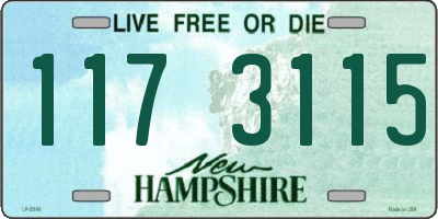 NH license plate 1173115